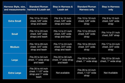 STEP IN BUNDLE - RAINBOW (5 PIECES)