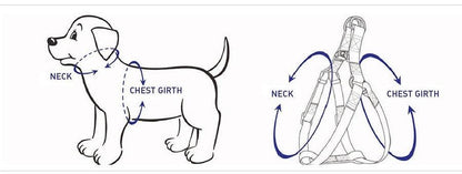 STEP IN BUNDLE - RAINBOW (5 PIECES)