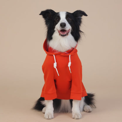 NNEDSZ XL Orange Cute Dog Hoodie with Adjustable Drawstring - Available in Various Sizes