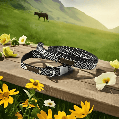 Finnigan's Wanderlust Whisker-Wearer Dog Collar 🐾